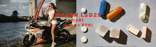 стаф Аркадак