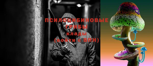 МДПВ Алексеевка