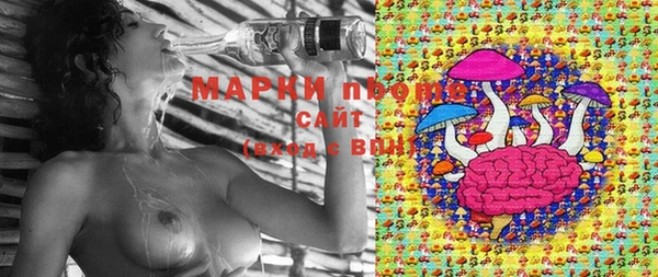 прущая мука Арсеньев
