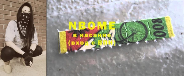 стаф Аркадак