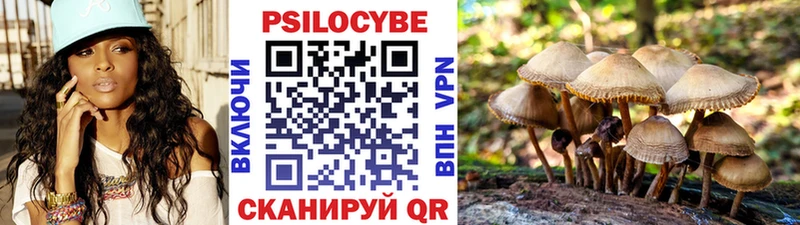 наркошоп  hydra как войти  Псилоцибиновые грибы мицелий  Нижний Тагил 